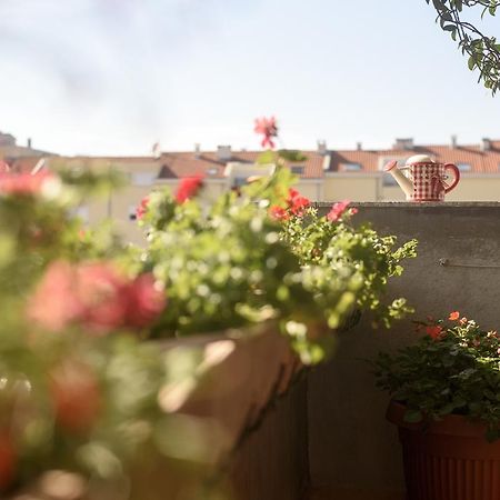 Basic Apartman Lägenhet Zadar Exteriör bild