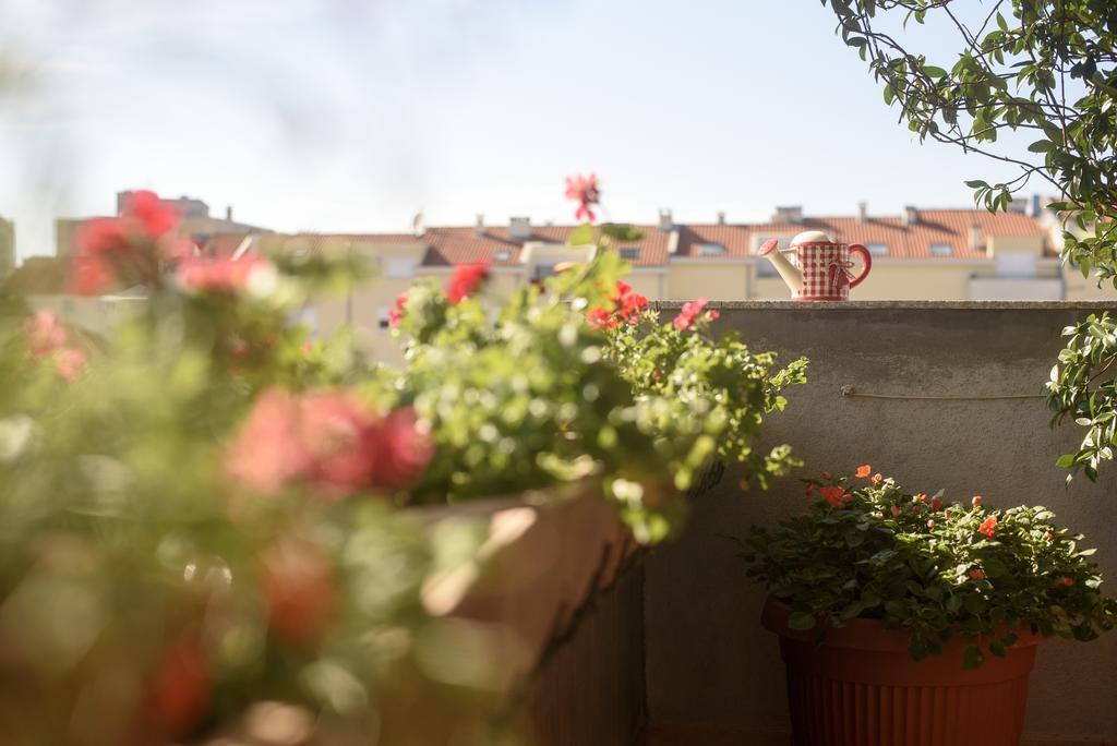 Basic Apartman Lägenhet Zadar Exteriör bild